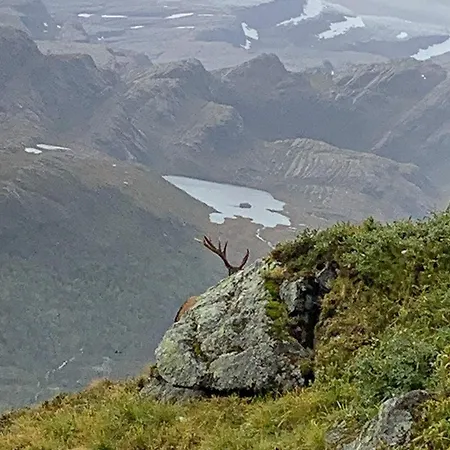 Holiday Alfoten 度假居 Davik (Sogn og Fjordane)